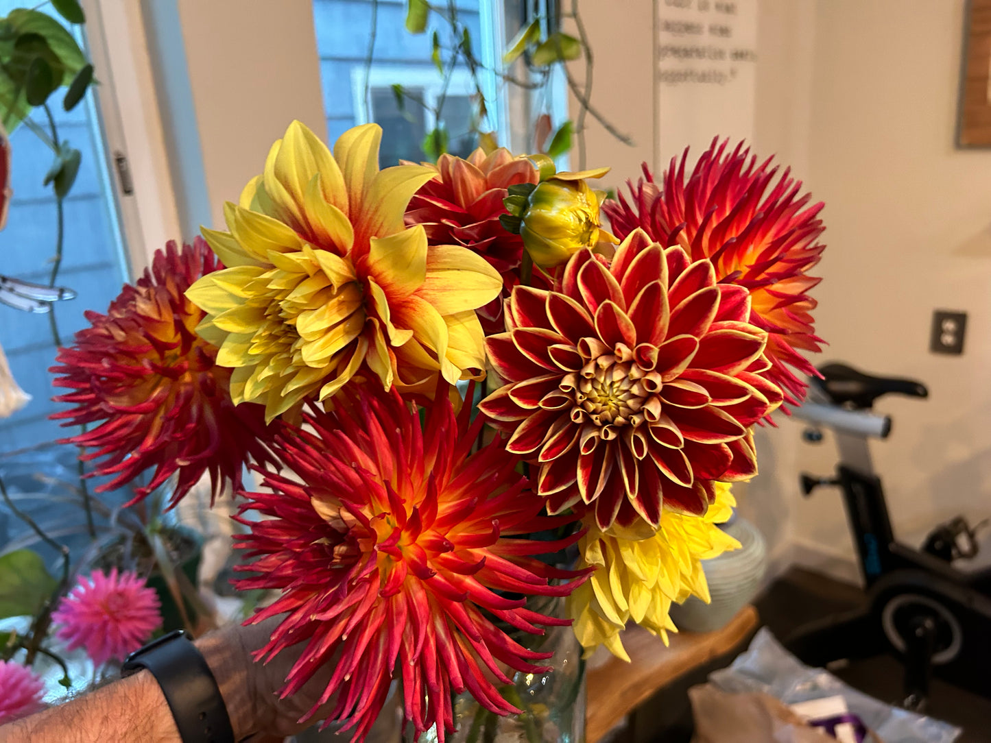 Mystery Tubers!