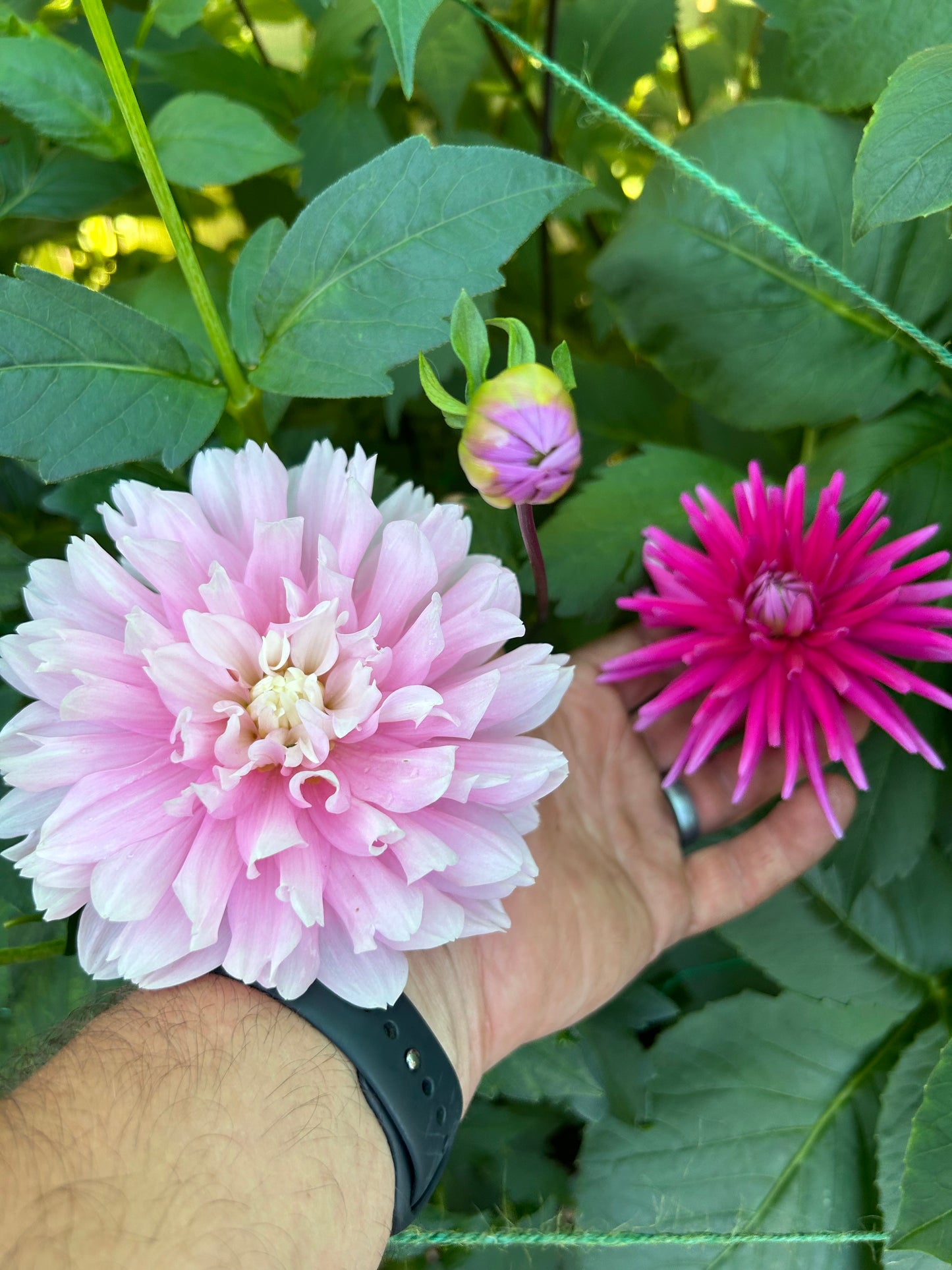 Large Bouquet